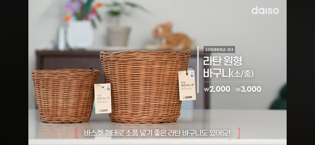 다이소-신상템-8-이미지