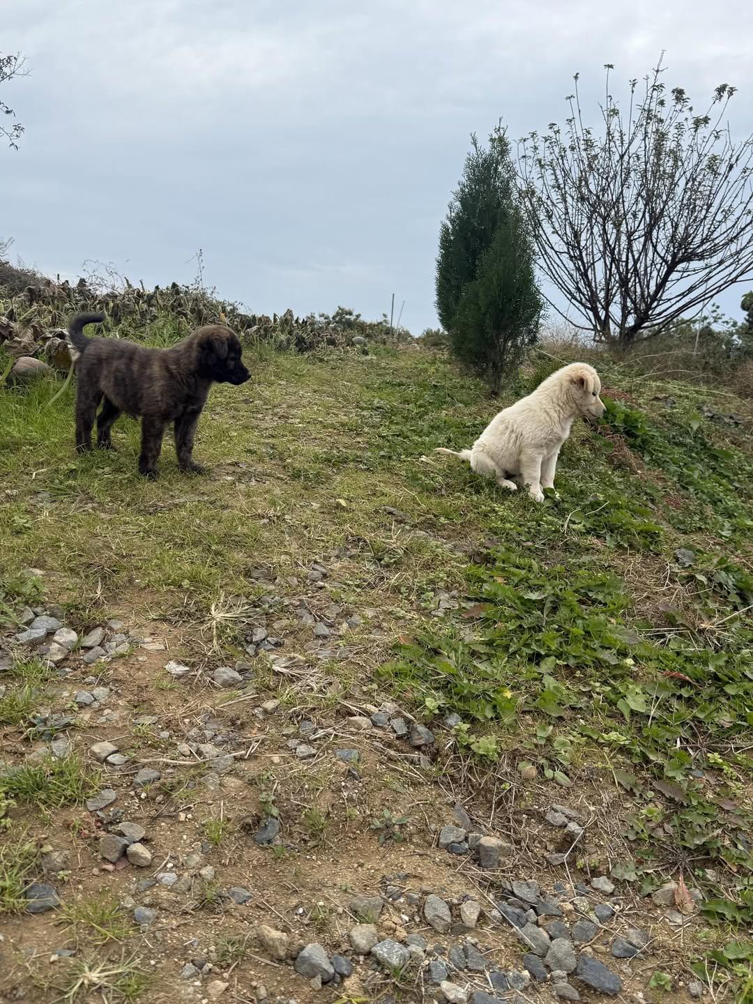 엄마-거믕거-아빠-힝-⋯-2-이미지