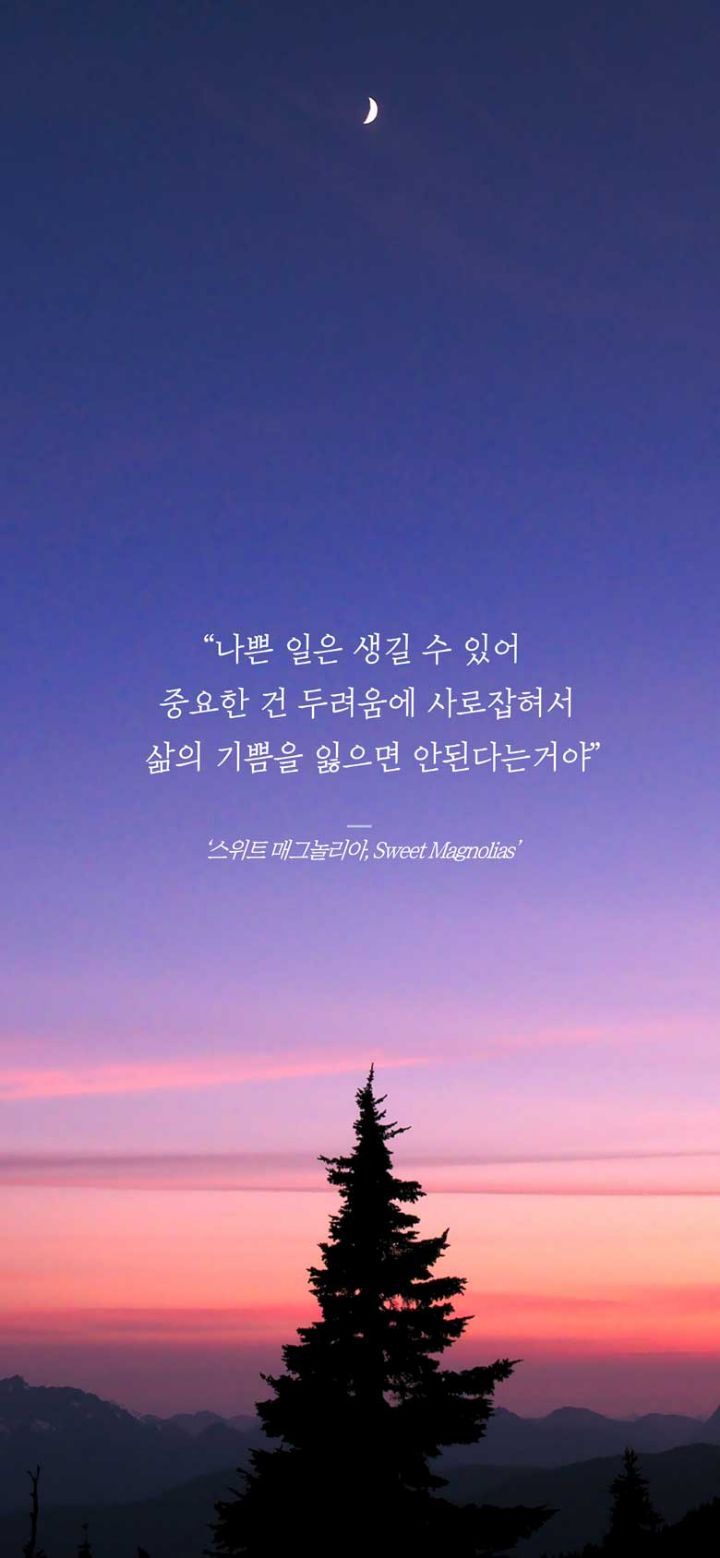 겨울이-되면-고양이-집사들이-더-행복해지는-이유.gif-0-이미지