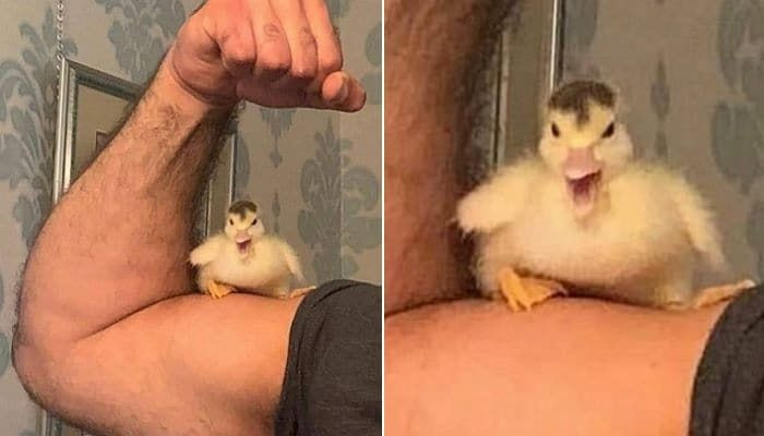 러시안룰렛이-안전한-이유-0-이미지