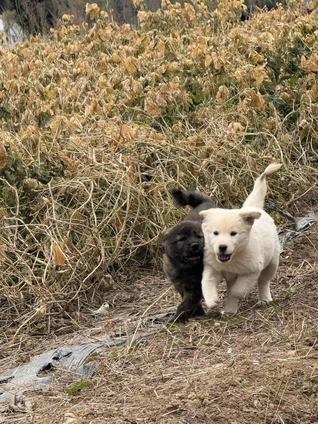 엄마-거믕거-아빠-힝-⋯-5-이미지