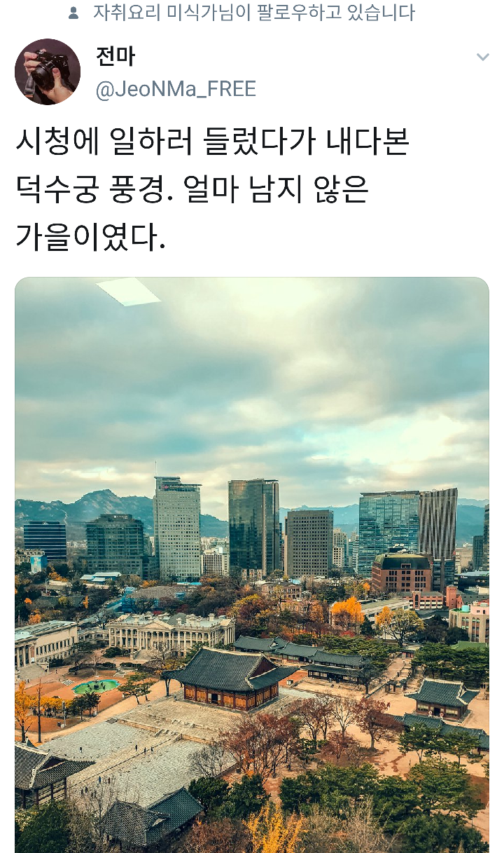 늦가을의-덕수궁-1-이미지