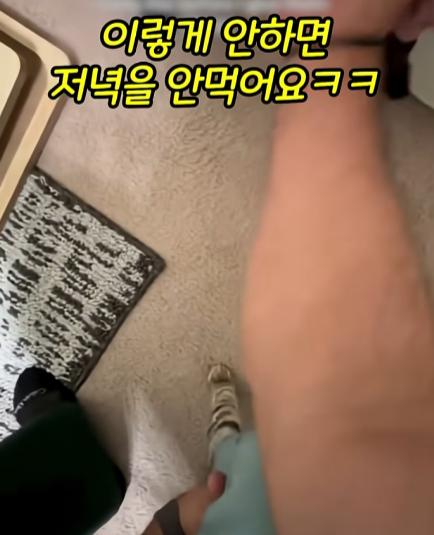 고양이-냅다-들어서-공중에서-흔들어재끼는-남자-5-이미지