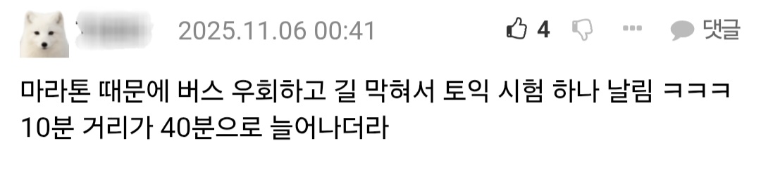 핫플-된-마라톤-사태-직접-겪은-사람들이-쓴-댓글.jpg-11-이미지