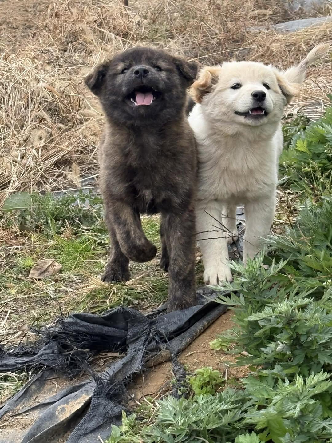 엄마-거믕거-아빠-힝-⋯-1-이미지