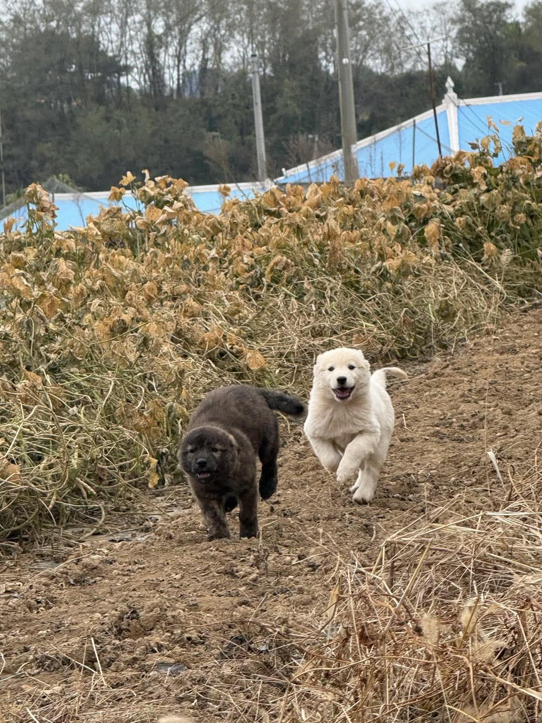 엄마-거믕거-아빠-힝-⋯-0-이미지