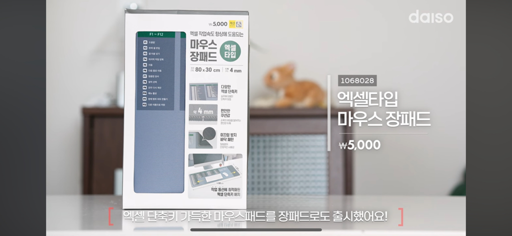 다이소-신상템-2-이미지