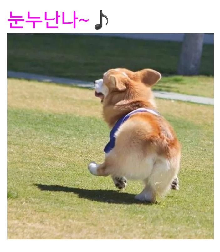 웰시코기의-강력한-유전자.jpg-19-이미지