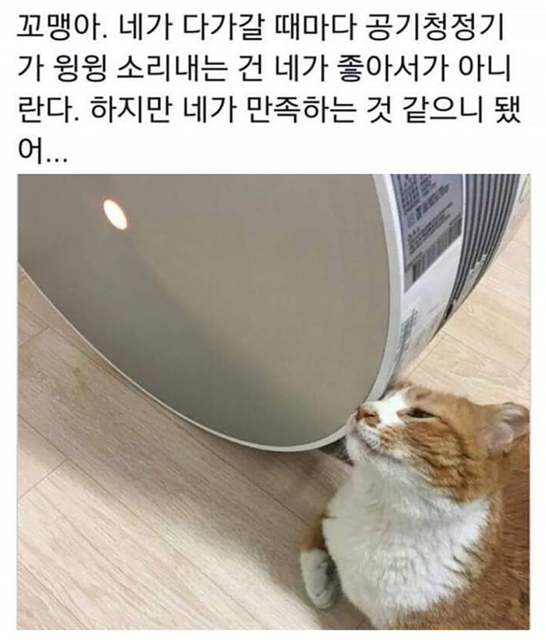 꼬맹아.-네가-다가갈-때마다-공기청정기가-윙윙-소리내는-건-네가-좋아서가-아니란다.-0-이미지