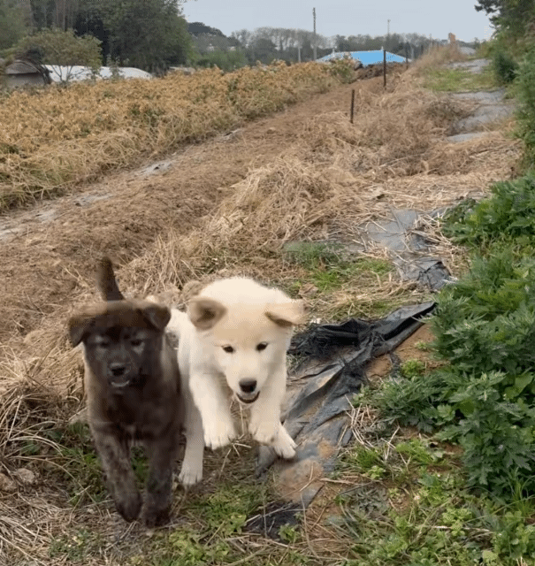 엄마-거믕거-아빠-힝-⋯-7-이미지