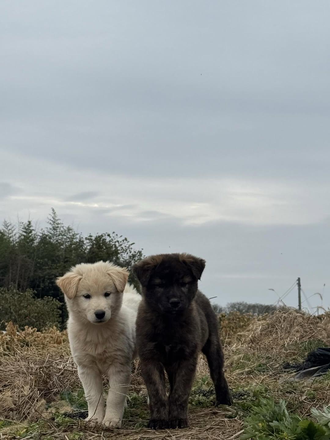 엄마-거믕거-아빠-힝-⋯-3-이미지