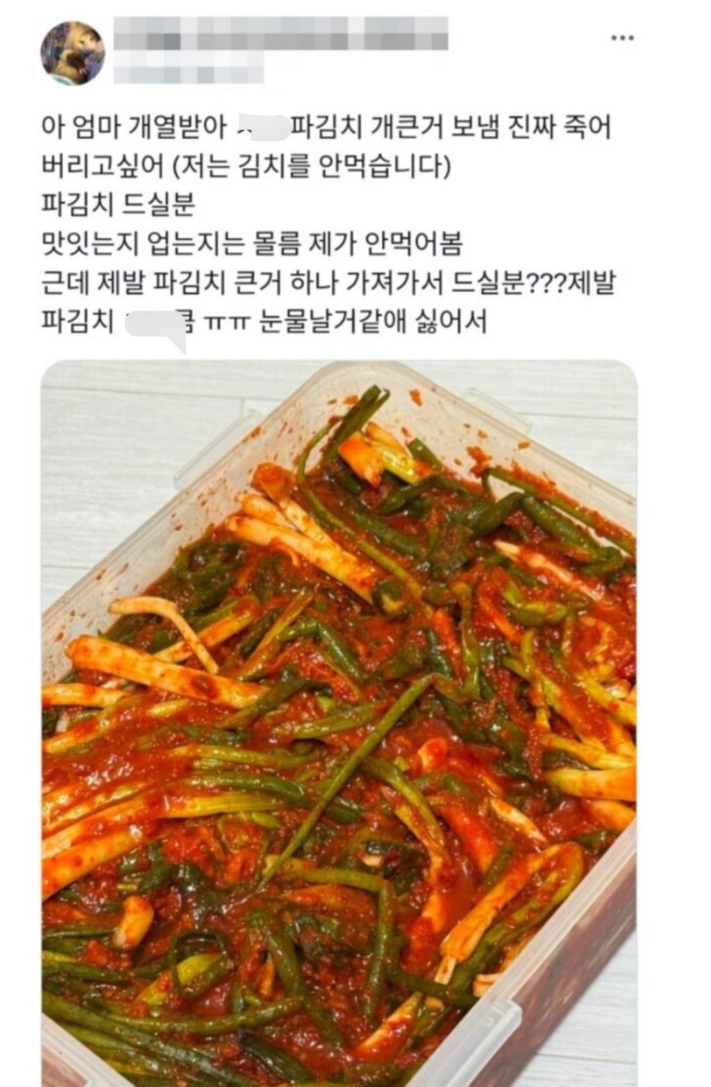 5백만-조회수-넘기면서-논란이라는-주제-0-이미지