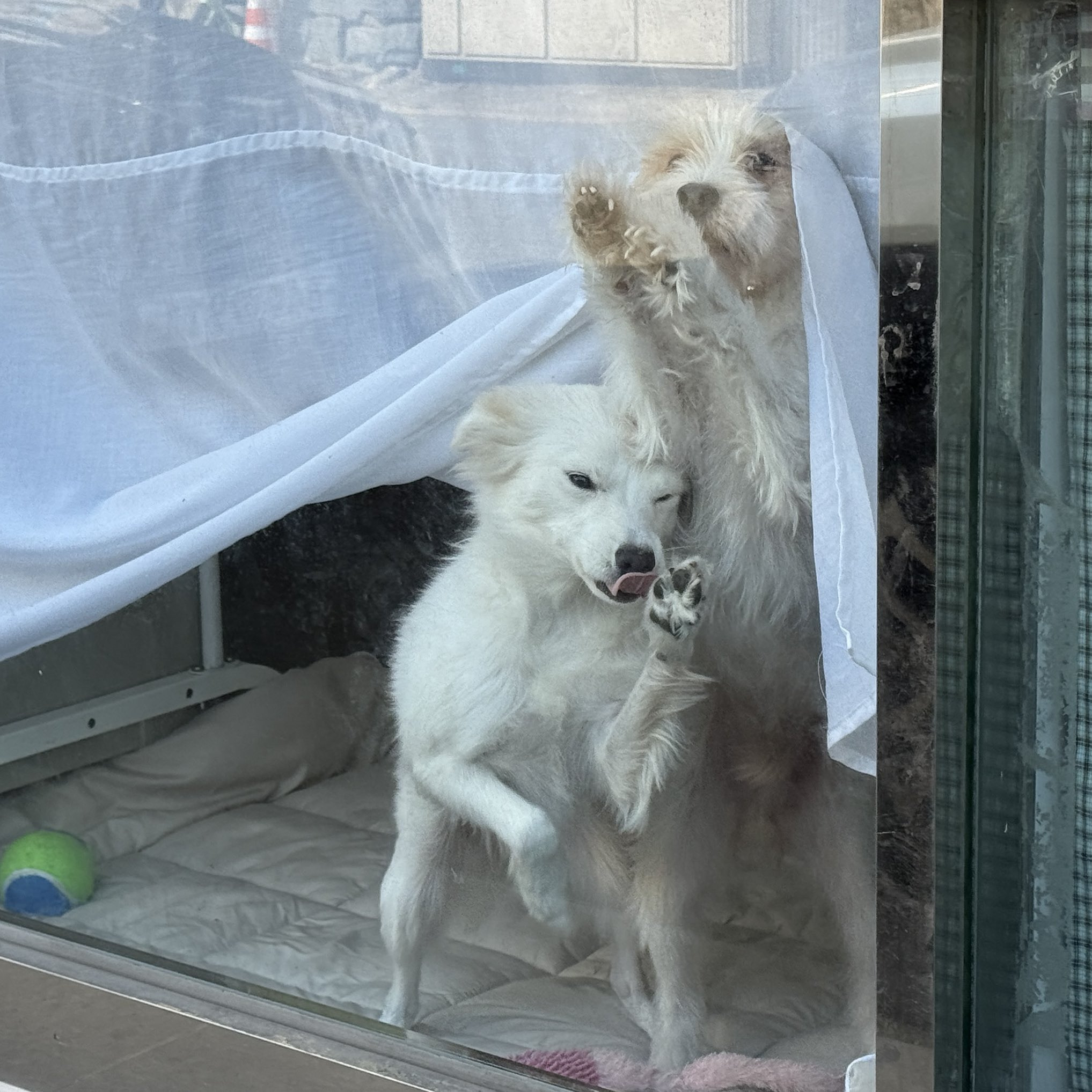 요즘-택배-기사님-문자가-너무-사랑스럽다.twt-6-이미지