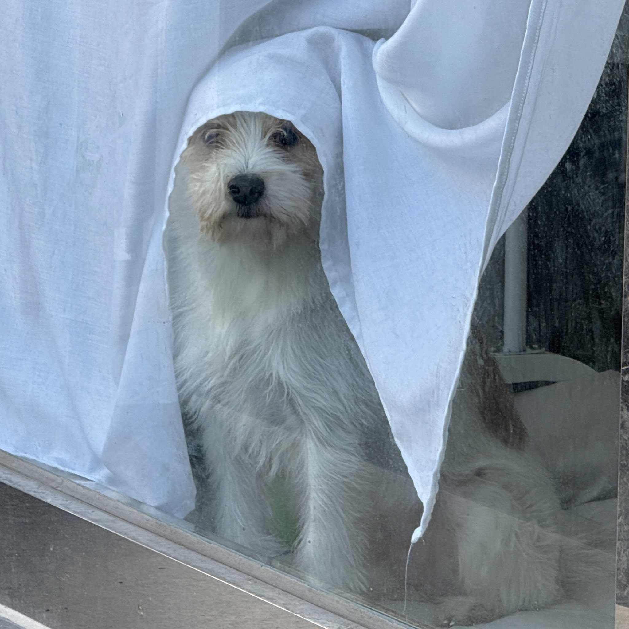 요즘-택배-기사님-문자가-너무-사랑스럽다.twt-7-이미지