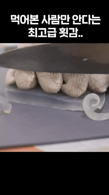 직접-잡은-오징어회-비빔-국수 -2-이미지