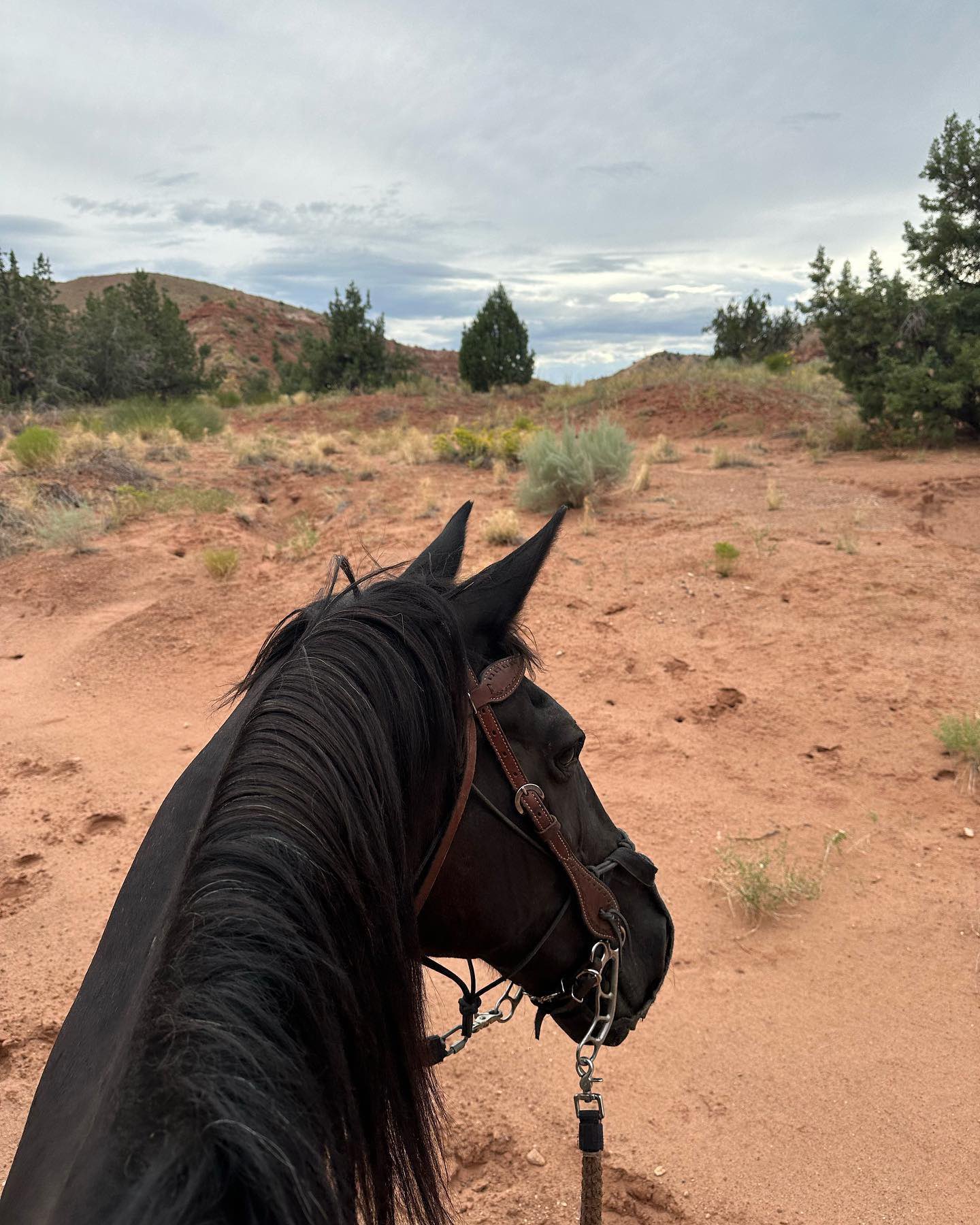 끝내주는-휴가-보내고-온듯한-블랙핑크-제니-25-이미지