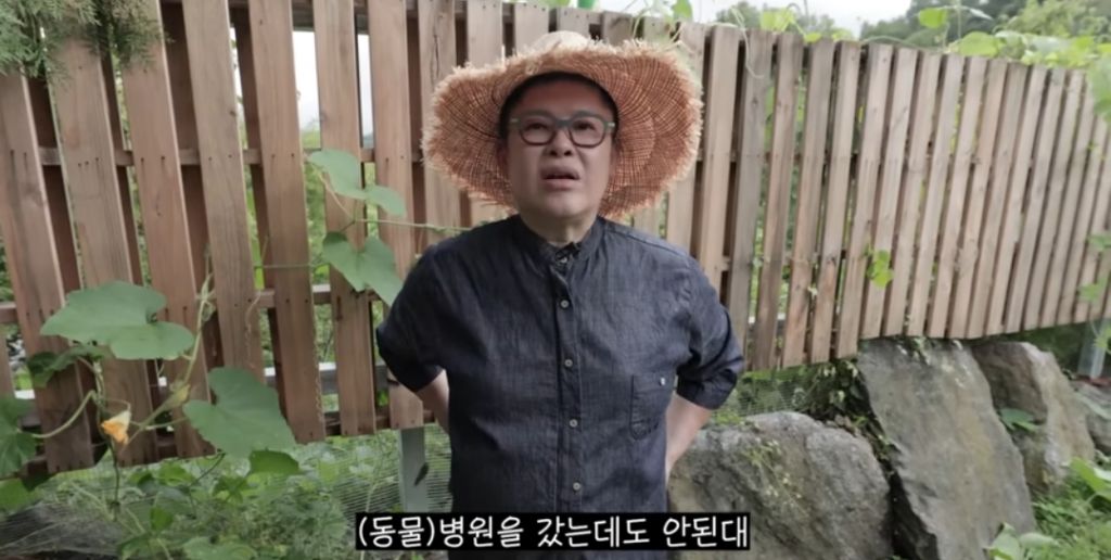 신발-물어-뜯은-고양이-찾아간-이영자-3-이미지