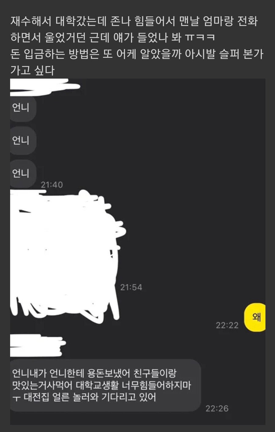 대학생-언니가-걱정돼서-용돈-보내준-초등학생-동생-0-이미지