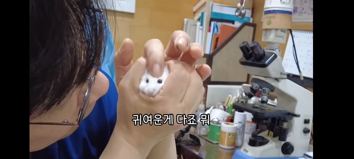 햄스터-건강검진하러-병원왔는데-쌤이-사리사욕-챙김-5-이미지