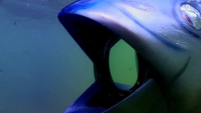 바다속의-돌고래를-촬영하기-위해-만들어진-카메라-퀄리티ㅋㅋㅋㅋ.jpgif-19-이미지