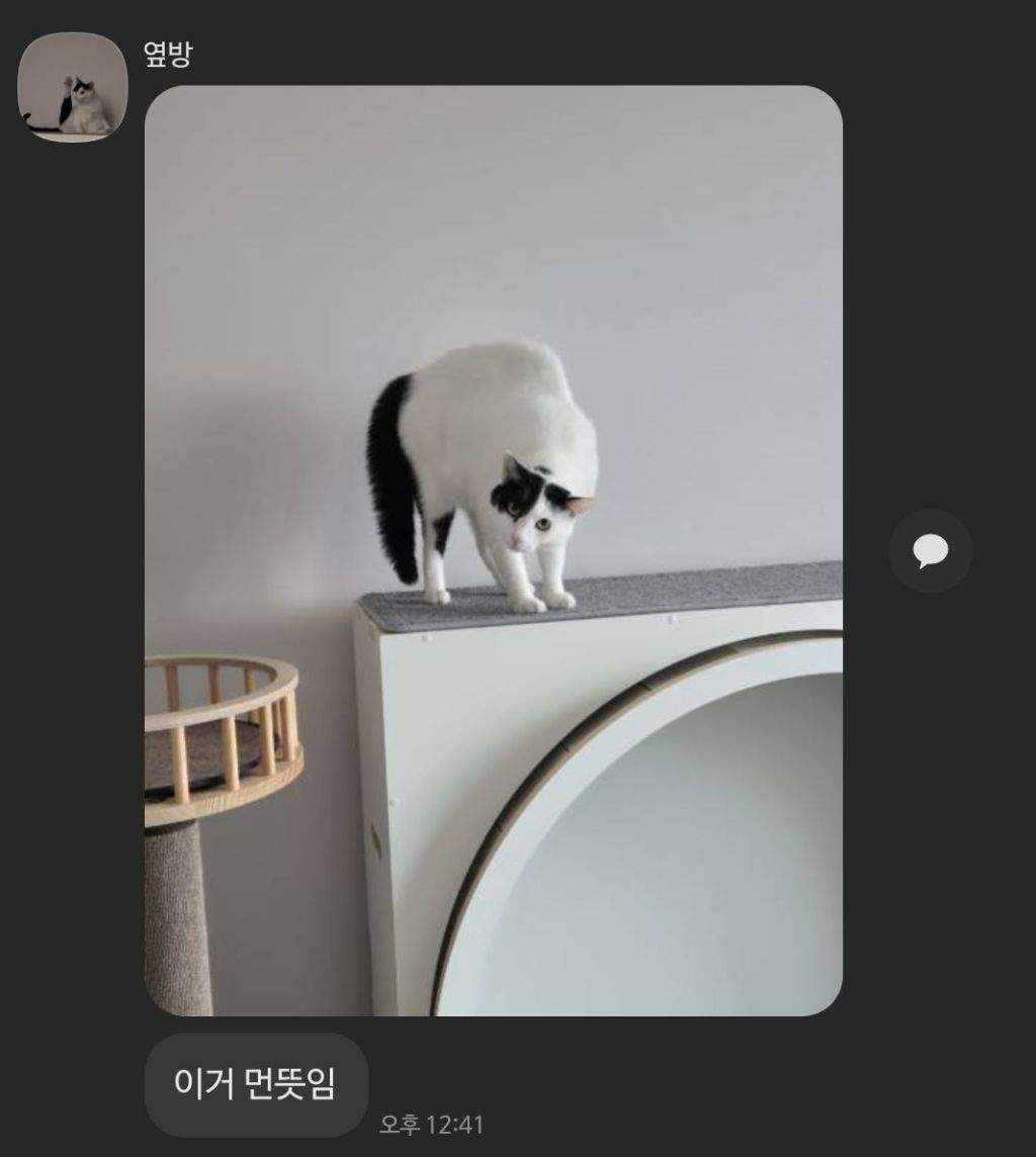 고알못-동생-졸라-웃김-ㅋㅋㅋㅋㅋㅋ-0-이미지