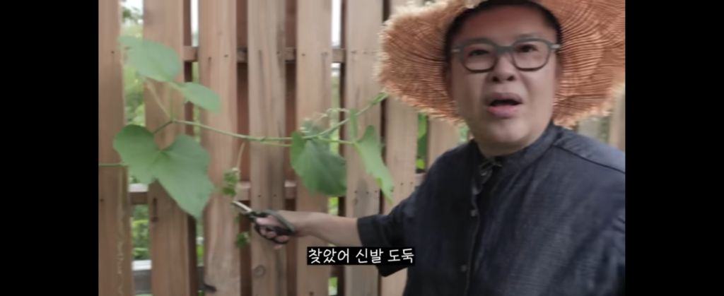 신발-물어-뜯은-고양이-찾아간-이영자-0-이미지