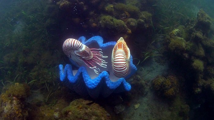 바다속의-돌고래를-촬영하기-위해-만들어진-카메라-퀄리티ㅋㅋㅋㅋ.jpgif-3-이미지