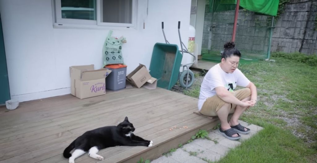 신발-물어-뜯은-고양이-찾아간-이영자-22-이미지