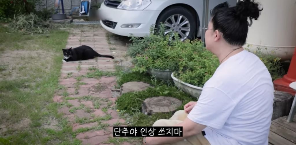 신발-물어-뜯은-고양이-찾아간-이영자-10-이미지