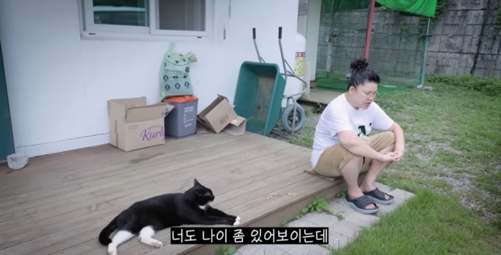 신발-물어-뜯은-고양이-찾아간-이영자-24-이미지