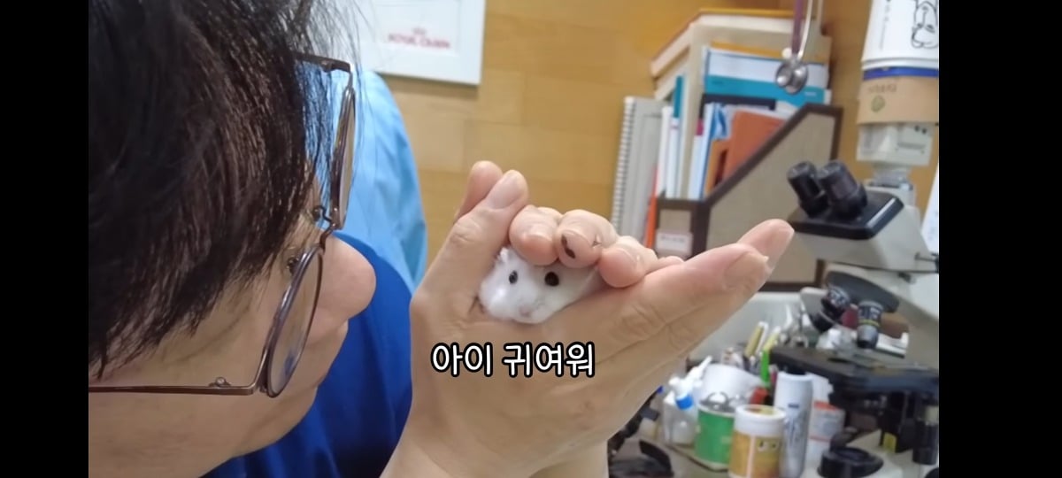 햄스터-건강검진하러-병원왔는데-쌤이-사리사욕-챙김-7-이미지
