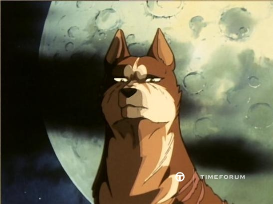 요즘-일본에서-활약이-필요해-보이는-친구들.gif-15-이미지