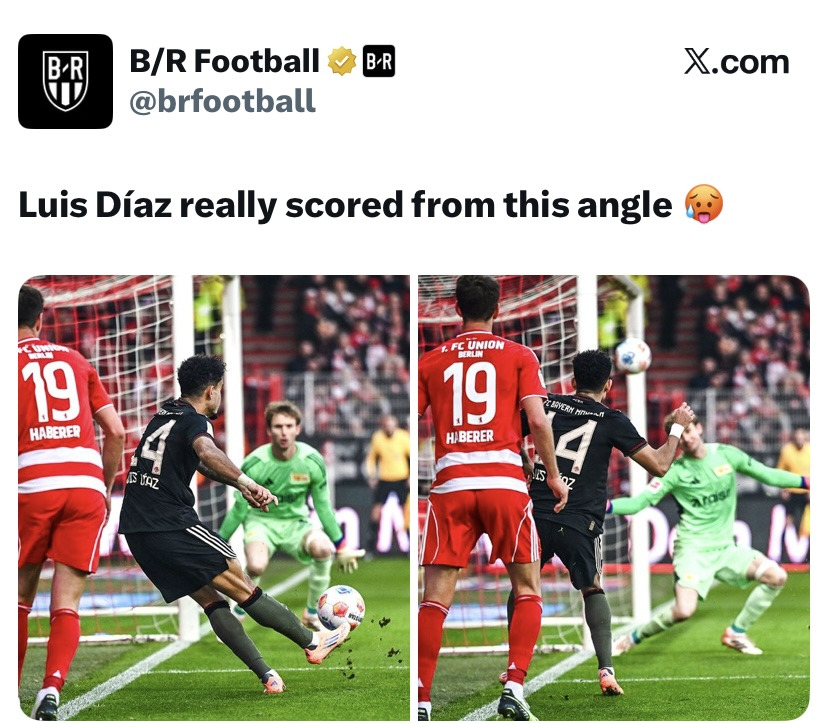 좀더-가까운-시점으로-잡은-루디-무각골-1-이미지