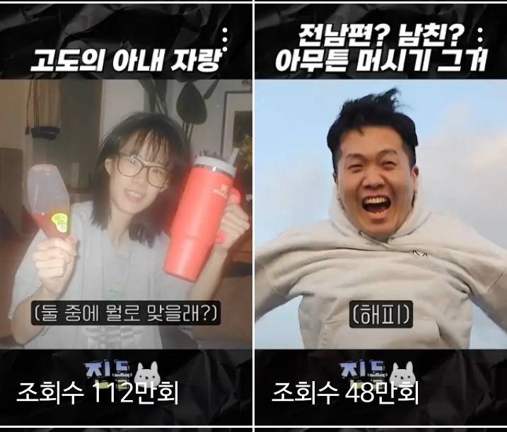 진심-너무하다는-진돌&히디-부부-영상-댓글-온도차........jpg-0-이미지