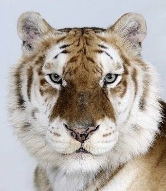 증명사진인데-누가-제일-잘생겼어?-0-이미지