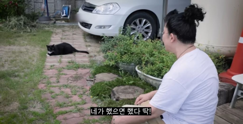 신발-물어-뜯은-고양이-찾아간-이영자-12-이미지