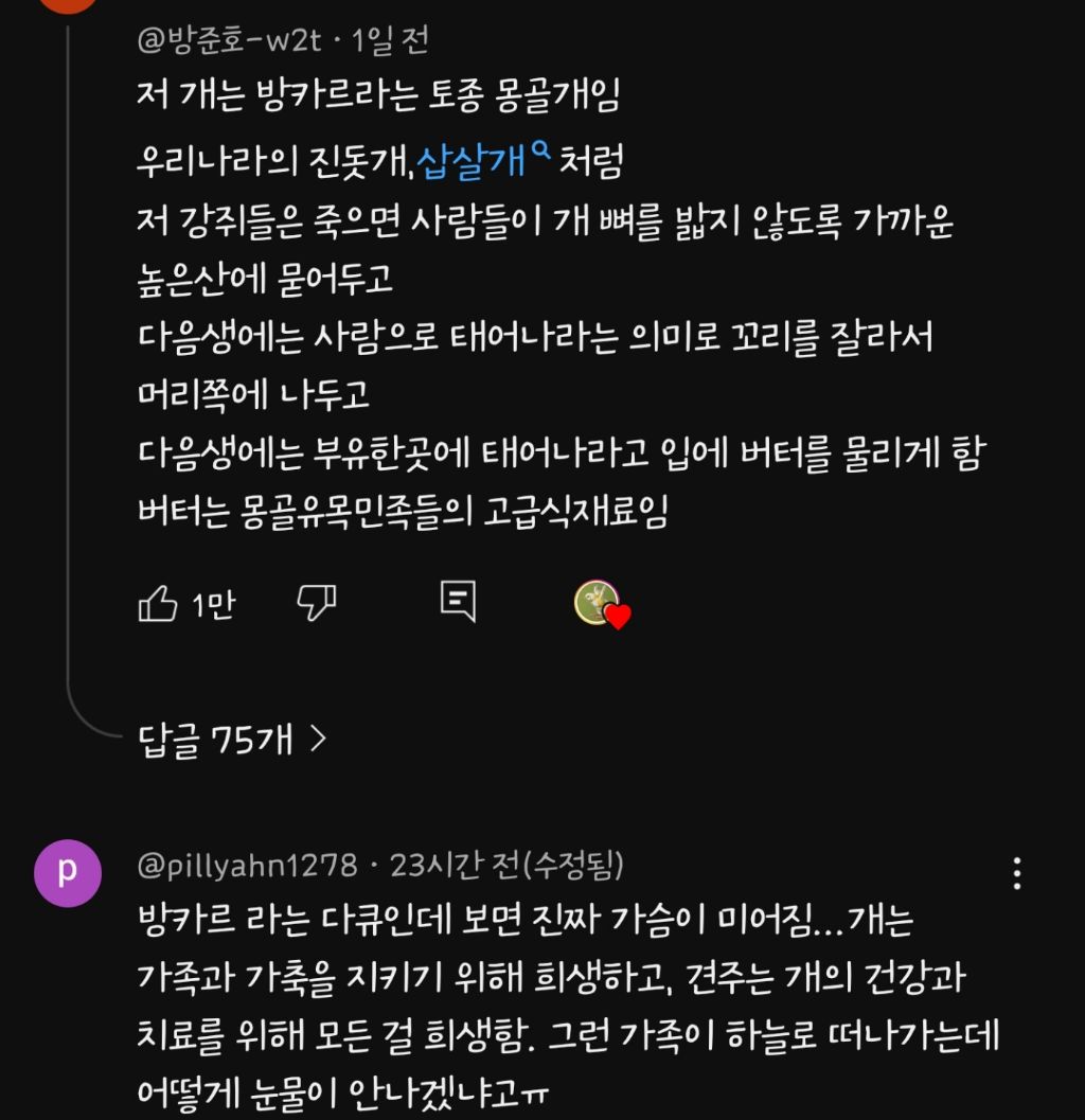 난-내가-죽으면-키웠던-반려견이-마중나오지않았음-좋겠다-1-이미지