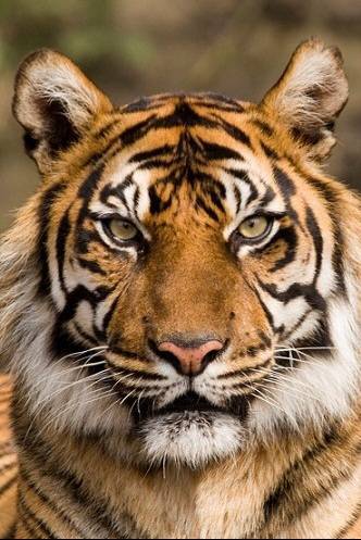 증명사진인데-누가-제일-잘생겼어?-3-이미지