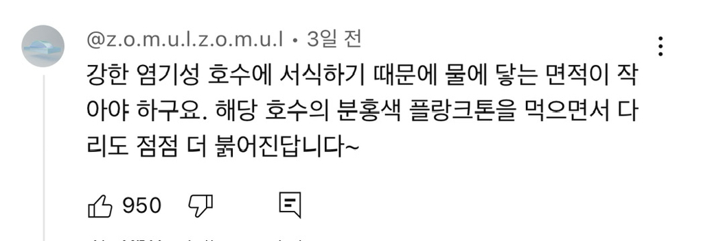 한-발-서기-연습하는-애기-홍학-1-이미지