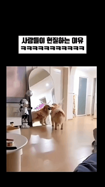 사람들이-현질하는-이유.gif-2-이미지