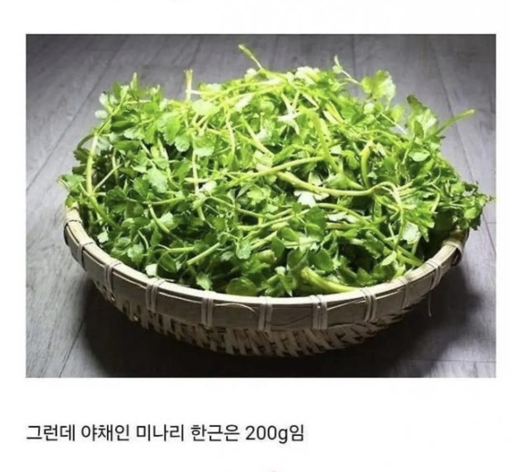 의외로-품목에-따라-뜻이-다르다는-단어-3-이미지