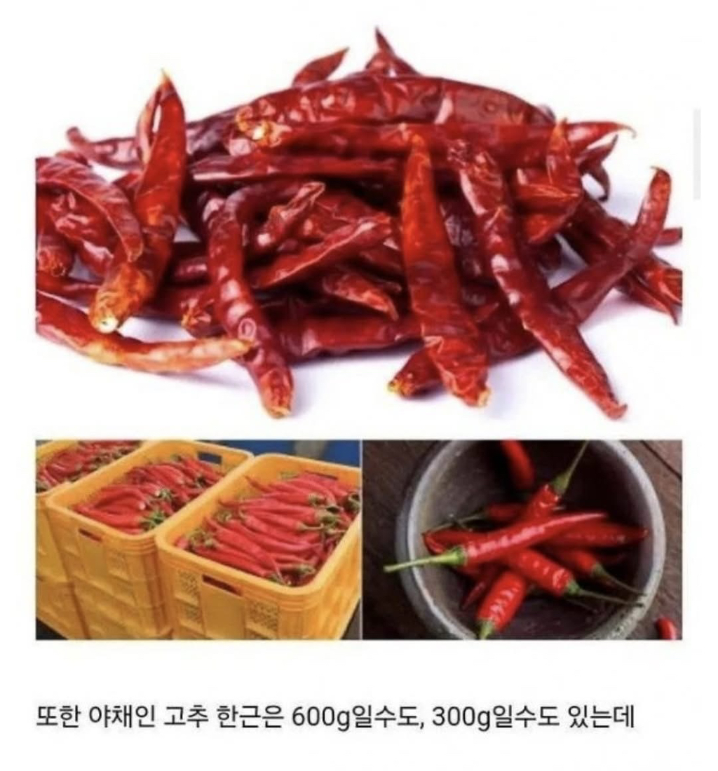 의외로-품목에-따라-뜻이-다르다는-단어-4-이미지