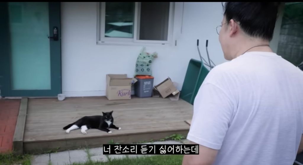 신발-물어-뜯은-고양이-찾아간-이영자-17-이미지