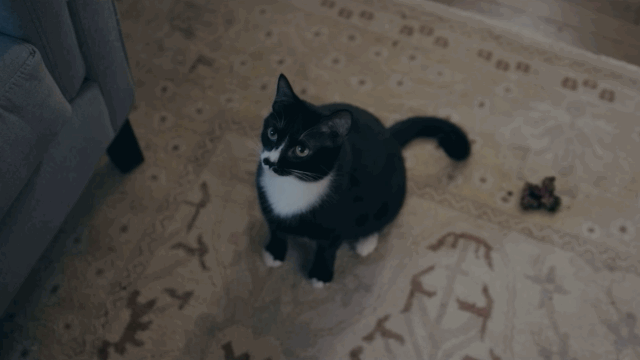 이사왔는데-다락방에-있던-인형이-자꾸-죽이려해요...gif-16-이미지