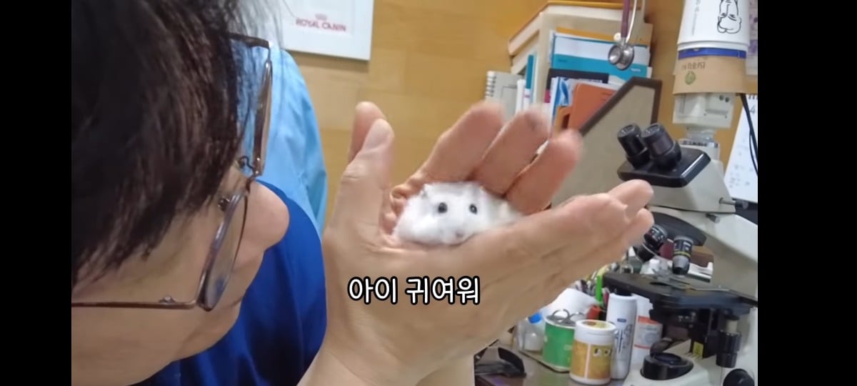 햄스터-건강검진하러-병원왔는데-쌤이-사리사욕-챙김-6-이미지