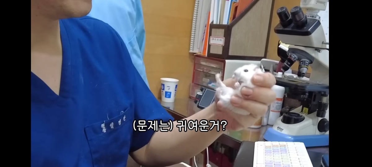 햄스터-건강검진하러-병원왔는데-쌤이-사리사욕-챙김-1-이미지
