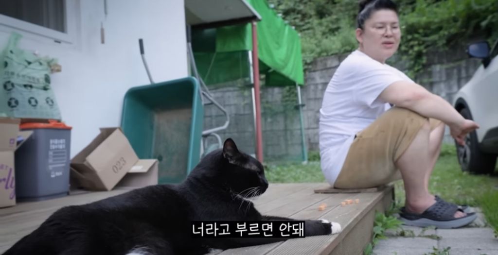 신발-물어-뜯은-고양이-찾아간-이영자-29-이미지