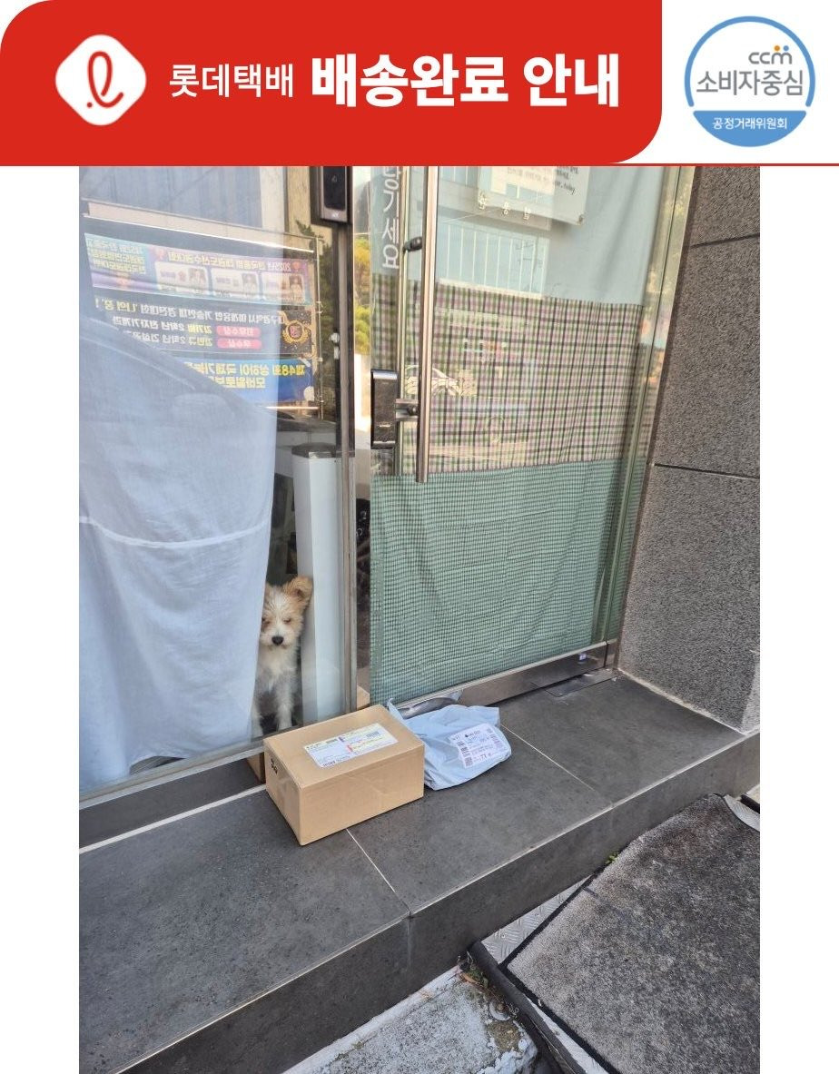 요즘-택배-기사님-문자가-너무-사랑스럽다.twt-1-이미지