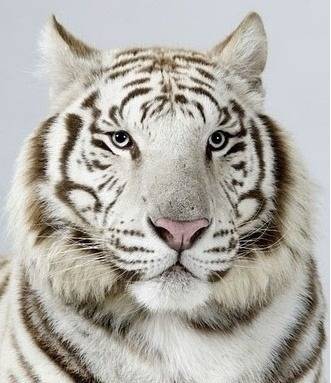 증명사진인데-누가-제일-잘생겼어?-1-이미지