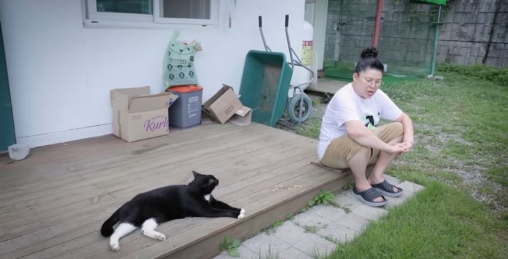 신발-물어-뜯은-고양이-찾아간-이영자-19-이미지